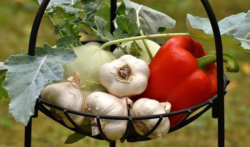 Vegetable Recipes